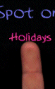 Suzie's Holiday Spot