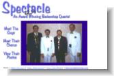 A Tribute To Spectacle